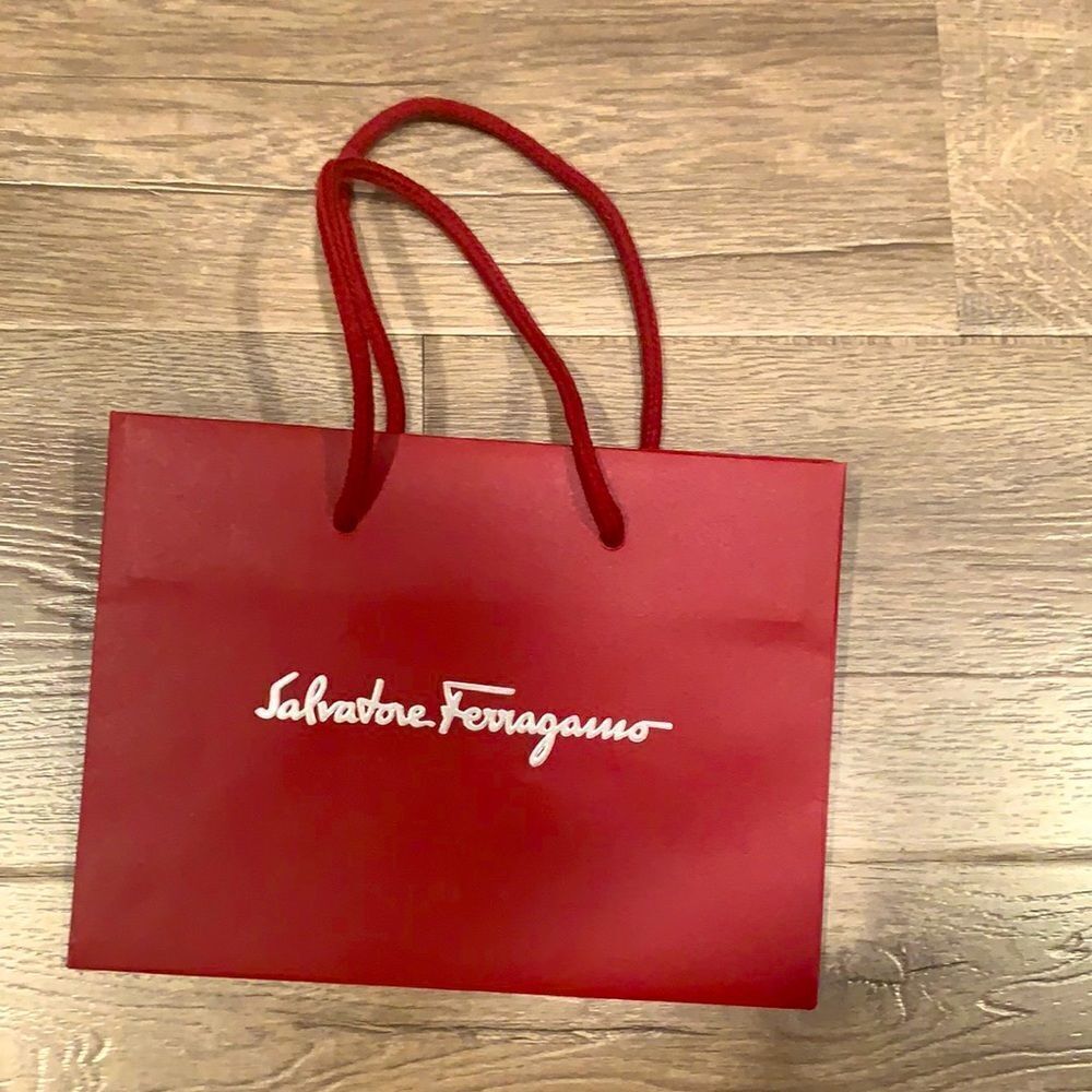 Salvador Ferragamo shooing bag